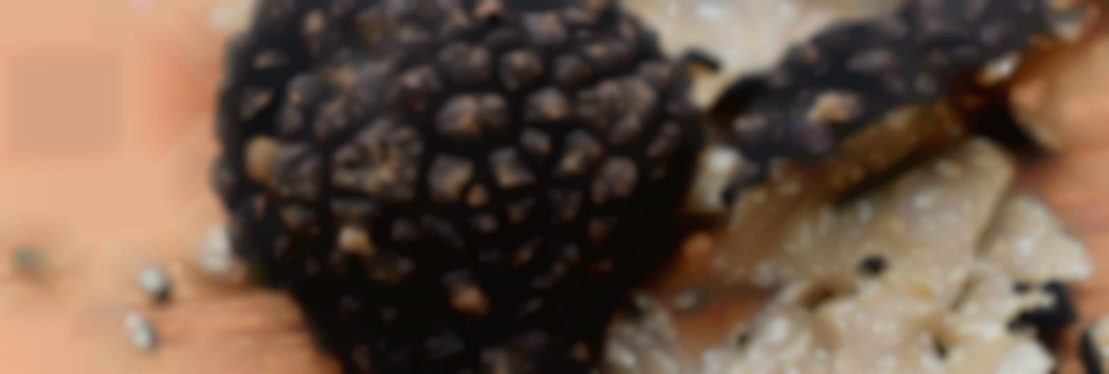 Ferme Challine - Truffes et champignons